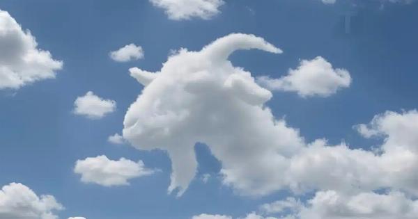 Είδατε πρώτα μια χελώνα ή μια καμήλα; Τι αποκαλύπτει αυτό για το πώς λειτουργεί ο εγκέφαλός σας