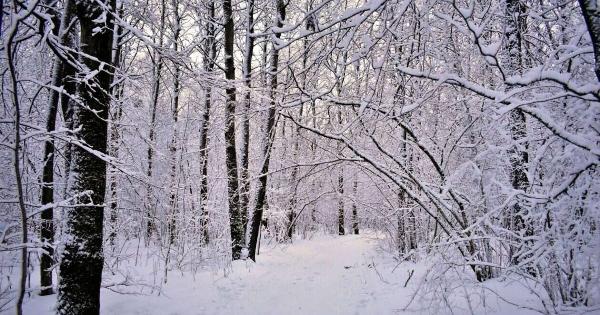 Δεiτε Τώρα Ιίνe εικόνα που Χιονίζει