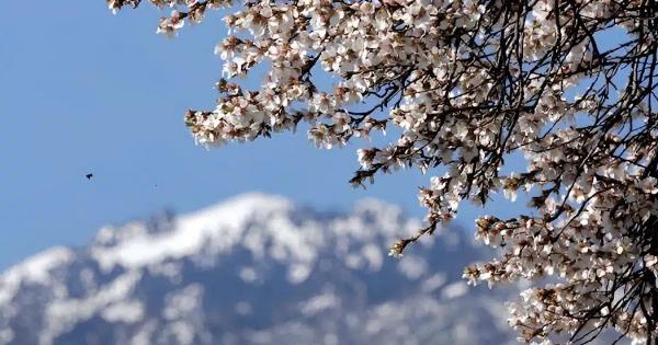 Μερομήνια 2026: Έρχεται Μάρτης «γδάρτης» – Πότε θα δούμε τα πρώτα χιόνια