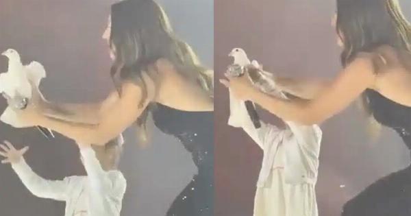 Η Ιουλία Καλλιμάνη τίμησε τη μνήμη του Γιώργου Μαζωνάκη αφήνοντας ελεύθερο ένα περιστέρι – «Δωσ’ το στον Γιώργο»