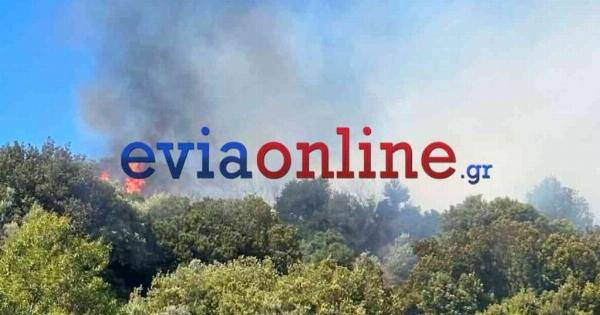 Τεράστια φωτιά τώρα κατακαίει τη χώρα μας: 9 εναέρια δίνουν μάχη – Εστάλη 112