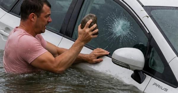 Έσωσα ένα σκυλί από ένα αυτοκίνητο που βυθιζόταν, σπάζοντας το τζάμι, ενώ η οδηγός είχε μπει ήρεμα σε ένα κατάστημα και το είχε αφήσει δίπλα στο ποτάμι… αλλά αντί για ευγνωμοσύνη, με μήνυσαν για φθορά ξένης περιουσίας
