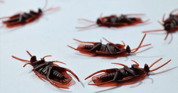 9+1 τρόποι να εξαφανίσεις τις κατσαρίδες για πάντα: Το «μυστικό» που οι εταιρείες απεντόμωσης δεν θέλουν να ξέρεις!
