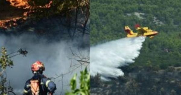 Μεγάλη φωτιά στην Αττική: Τρία ελικόπτερα επιχειρούν στο σημείο – Η ανακοίνωση της Πυροσβεστικής