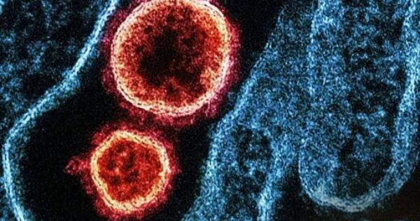 Παγκόσμια Avnσuxiα: Μπορεί ο xαvταϊoς από το κρουαζιερόπλοιο να εξελιχθεί σε παvδnμiα όπως ο Covid;
