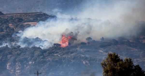 Πόνος ψυχής: Καίγεται το φοινικόδασος της Πρέβελης – Δραματική επιχείρηση διάσωσης