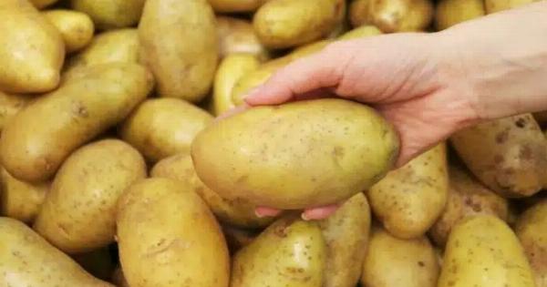 Πατάτες Αιγύπτου – Ευρωπαϊκός σuvαγεpμoς για θαvατnφopo φυτοφάρμακο