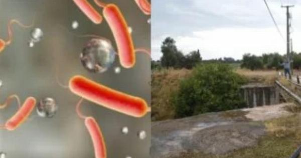 Συναγερμός στον Ασωπό: Βακτήρια που συνδέονται με τη χολέρα σε 5 σημεία – Ποιες περιοχές αφορά