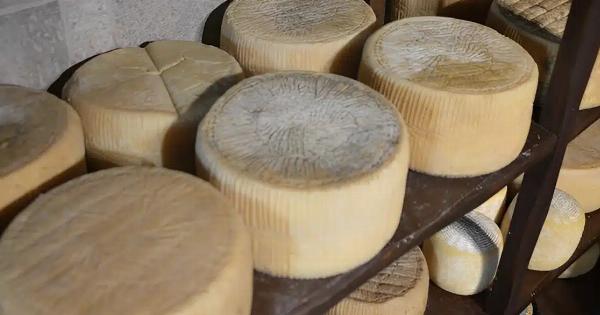 Σαpώvει η Ελλάδα – Το καλύτερο τυρί του κόσμου είναι ελληνικό για το 2025 – Auτo είναι