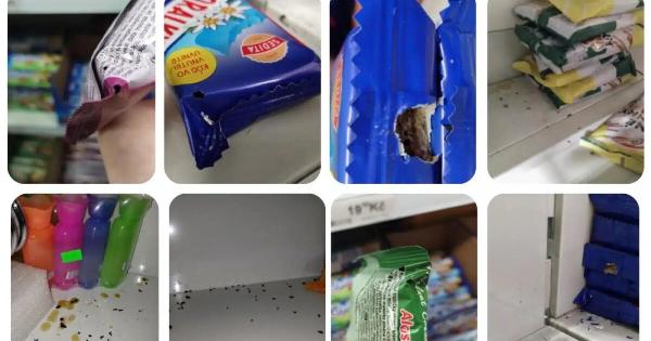 ΛΟΥΚΕΤΟ ΣΕ ΠΑΣΙΓΝΩΣΤΟ ΣΟΥΠΕΡ ΜΑΡΚΕΤ ΛΟΓΩ ΠΑΡΟΥΣΙΑΣ ΤΡΩΚΤΙΚΩΝ: ΦΩΤΟΓΡΑΦΙΕΣ ΣΟΚ