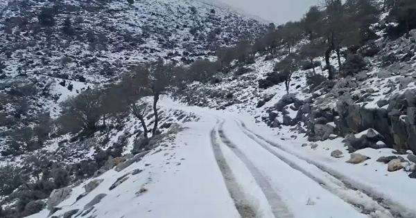 Ψυχρή εισβολή από την Αρκτική απειλεί την Ελλάδα – Κίνδυνος παγετού και ζημιών στην αγροτική παραγωγή