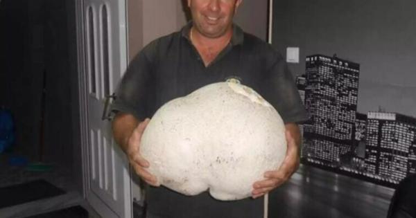 Γρεβενά: Περπατούσε στο βουνό κι έπεσε πάνω σε μια εικόνα που δεν θα ξεxάσει ποτέ