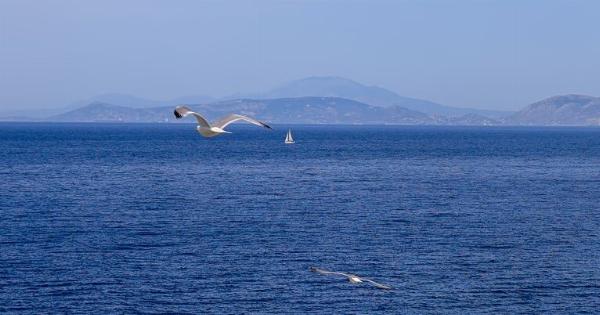Μερομήνια: Τι καιρό προβλέπουν ότι θα κάνει στην Ελλάδα τον Ιούλιο