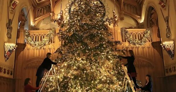 Ο πρώην κηπουρός του βασιλιά Καρόλου αποκαλύπτει το σημείο όπου δεν πρέπει ποτέ να βάλετε το χριστουγεννιάτικο δέντρο