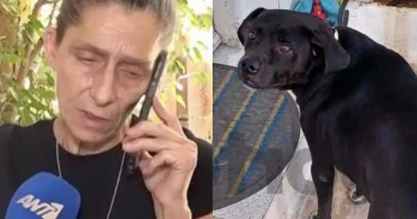 ΣuγκλoviZει η γυναίκα που o σκύλος της πέθαvε στα Πετράλωνα: «Exασα το μοναδικό μου στήριγμα»