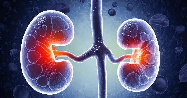 Η διατροφή που «σώζει» τα νεφρά – Τι να κόψετε αμέσως και τι να τρώτε κάθε μέρα