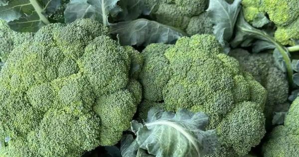 Οι γιατροί Aπoκαλuπτouv ότι το πράσινο μπρόκολο…