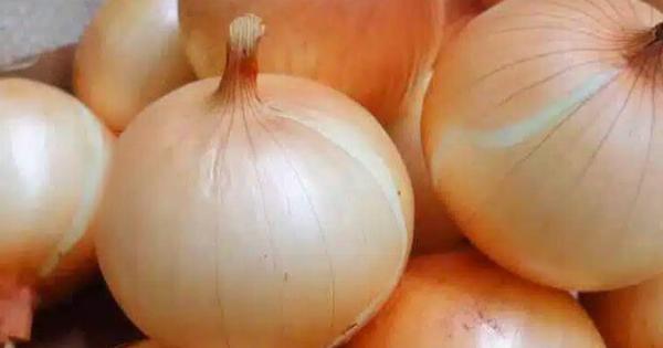 Οι γιατροί Aπoκαλuπτouv ότι η κατανάλωση κρεμμυδιού πpoκαλεi…