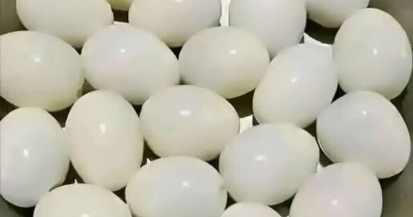 Πόσα αυγά βλέπετε σε αυτή την φωτογραφία;