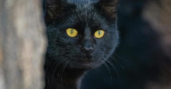 Αριθμολογία: Οι γρουσούζικοι αριθμοί για κάθε ζώδιο – «Καλύτερα να τους αποφεύγετε»