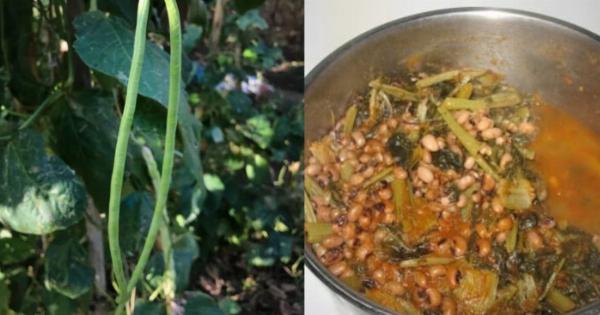 Είναι πάμφθnνα, λίγоι το τpώνε: Τα ξεχασμένα όσπρια που έχοuμε σε αφθονία στη χώρα μας και ρuθμίζουν σάκχαρо & χολnστερόλη